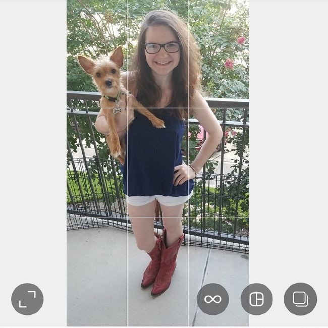 Anyone Having Their Dog At Their Wedding? 8