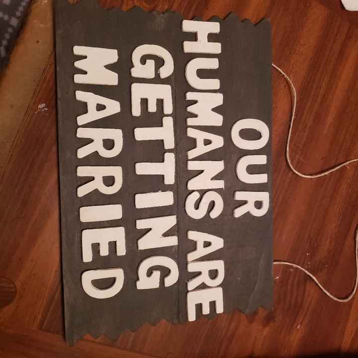 Engagement Photos - 2