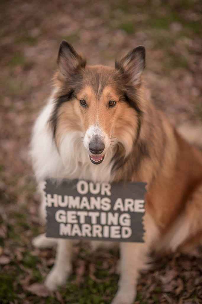 Engagement Photos Finally - 1