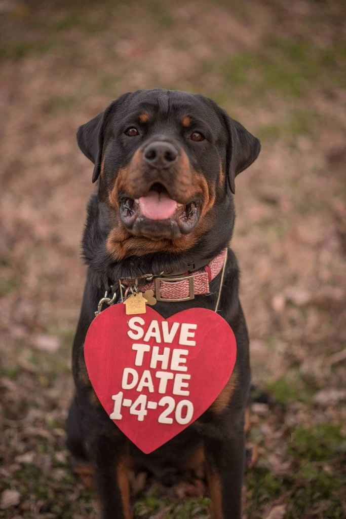 Engagement Photos Finally - 2