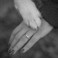 Got more engagement photos back! - 4