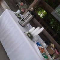 Disposable plates/cups - 1