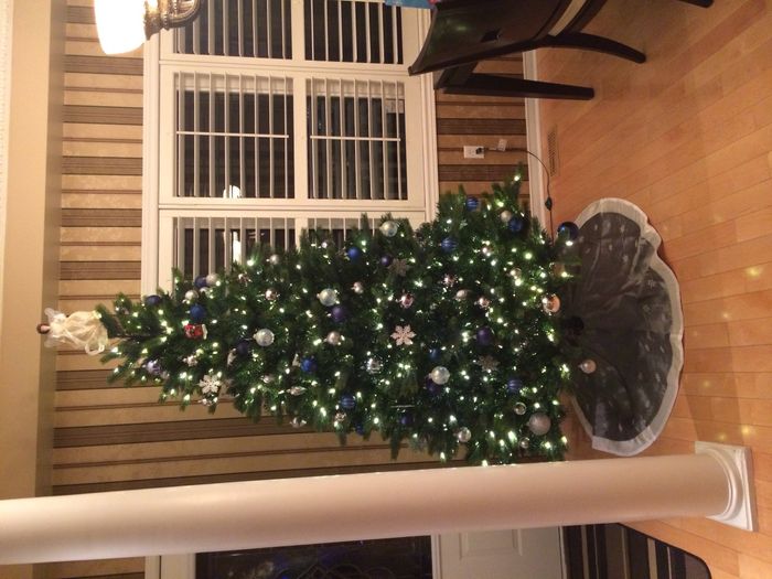 NWR- Let's see your Christmas tree!