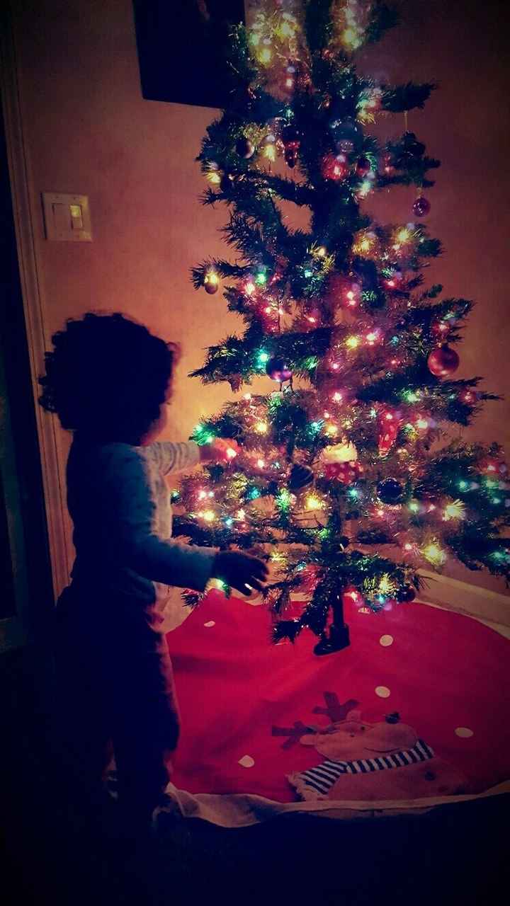 NWR-show me your Xmas trees