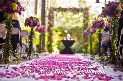 Purple Brides...