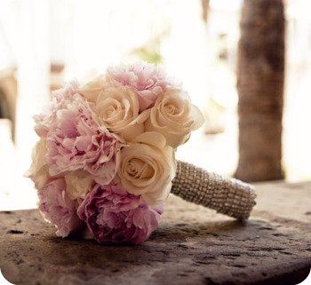 looking for flower ideas.