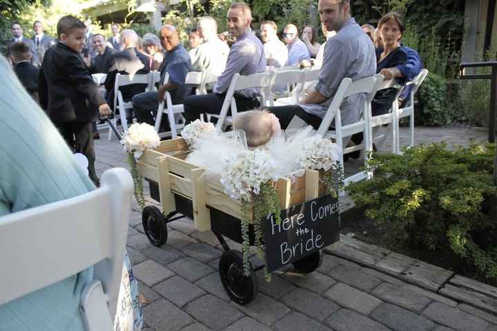 Wedding Pictures - DIY