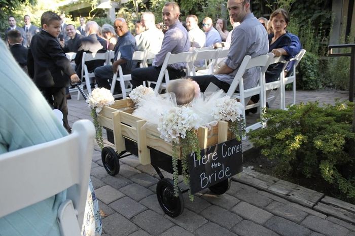 Wedding Pictures - DIY