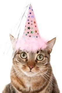 NWR: My four-legged child turns THREE today!!! *I want pics of yours*