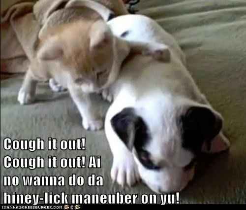 Cough cough cough
