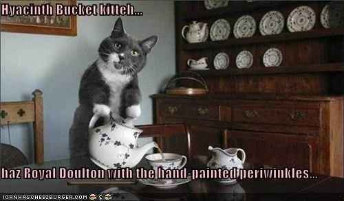 NWR - I'm bored, so very very bored