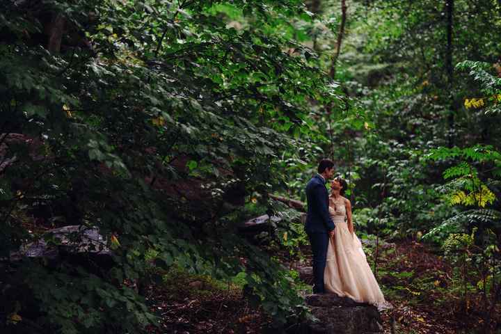 Come see my wedding!