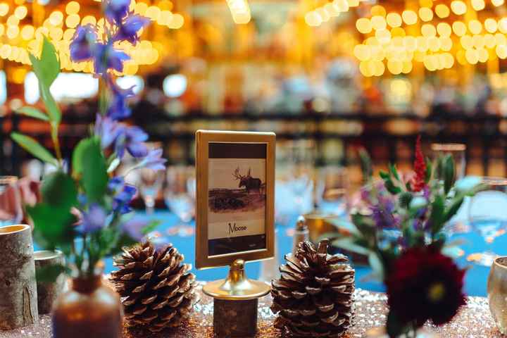 Come see my wedding!