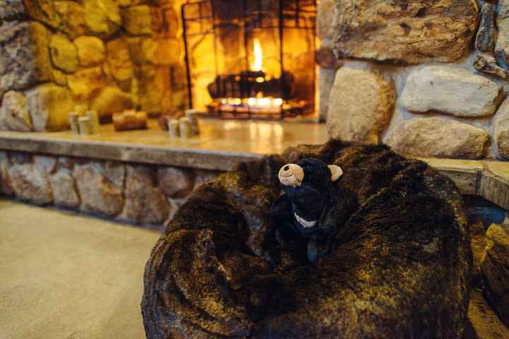 Share the Cute Little Details that you're excited about!