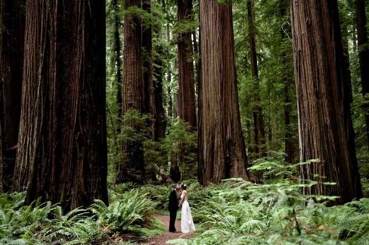 If you could have your wedding photo shoot anywhere...