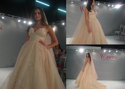 Dresses Roll Call