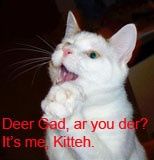 It's been a while...