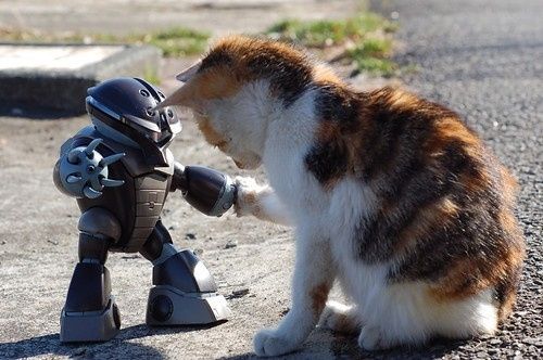 Tune-in Today @2pm EDT for Pro Chat!