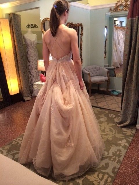 Bustle On A Tulle Ballgown Weddings Wedding Attire Wedding