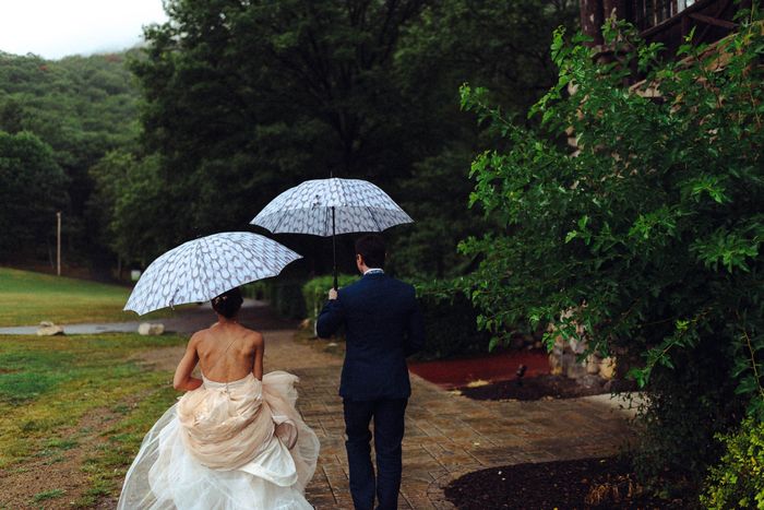 Which wedding dress back would you rock??