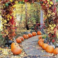 What colors did you choose for your wedding? - 2