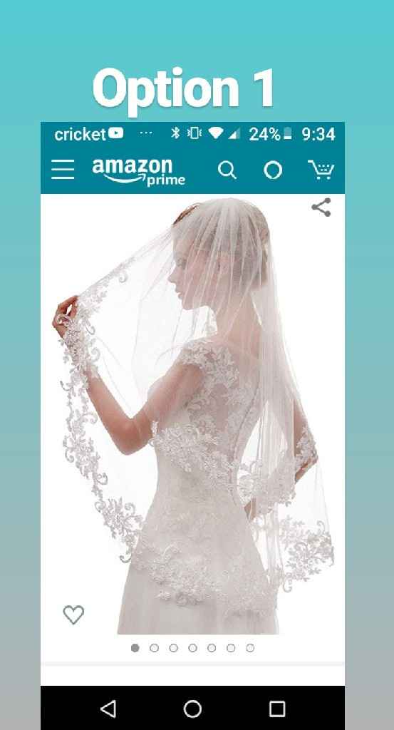 Which veil goes with this dress? - 2