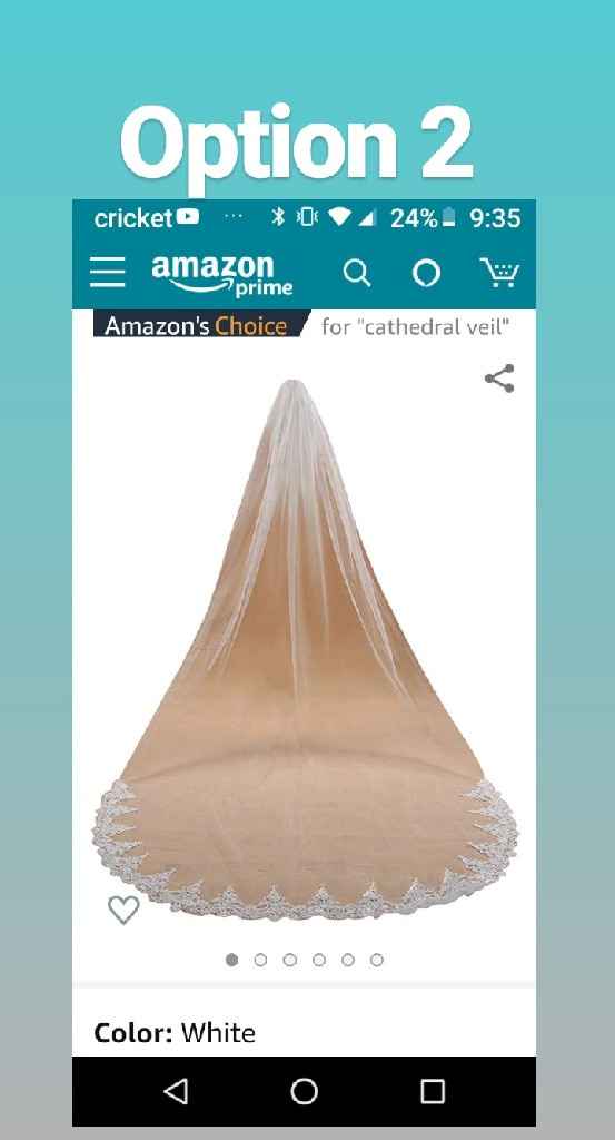 Which veil goes with this dress? - 3