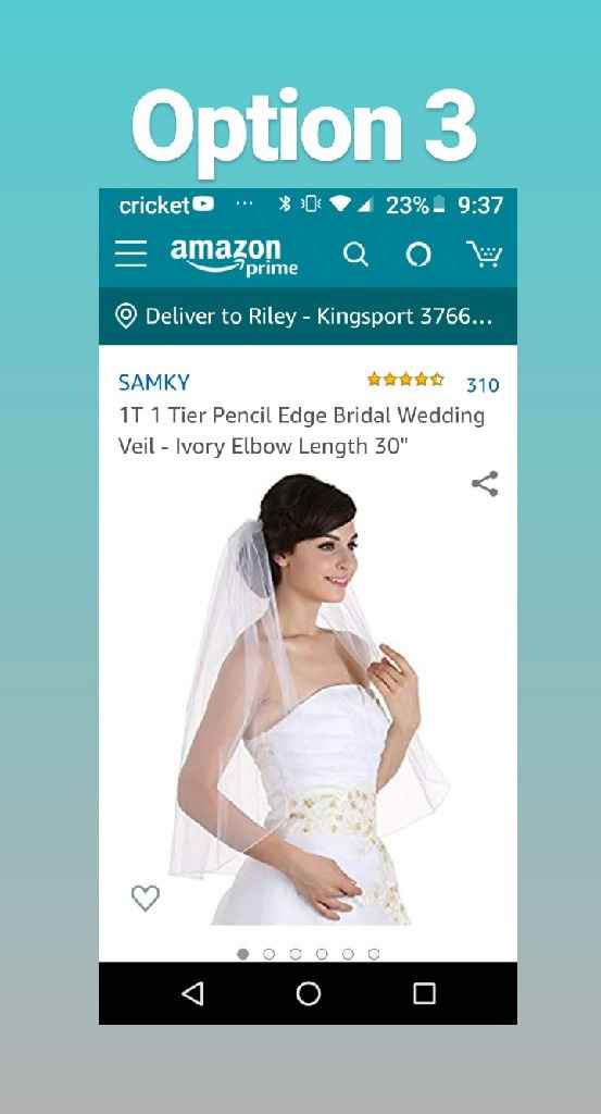 Which veil goes with this dress? - 4