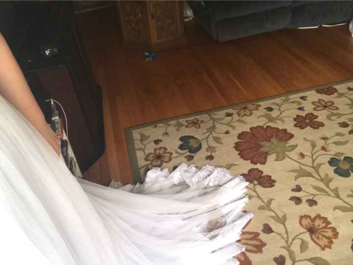 My dress came in!!! - 5