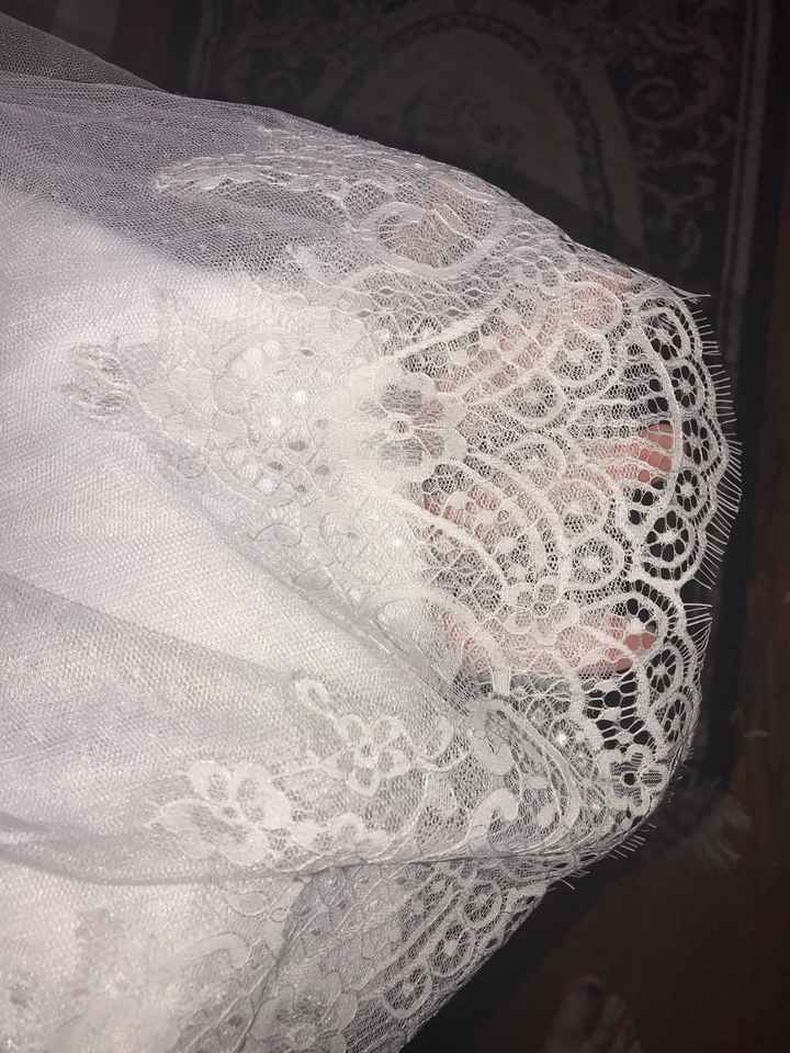 My dress came in!!! - 6