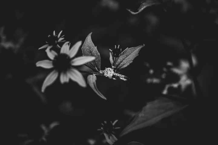 My engagement photos are done *warning there is alot of them* lol - 15