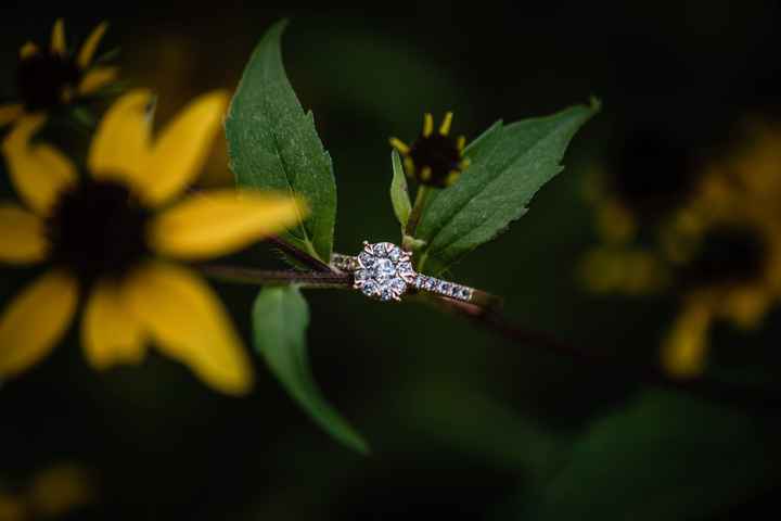 My engagement photos are done *warning there is alot of them* lol - 16