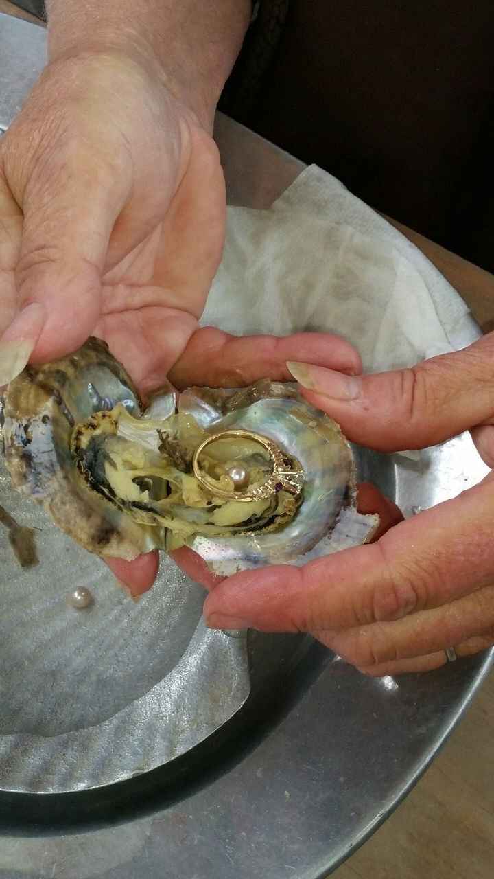 Newbie Introduction.