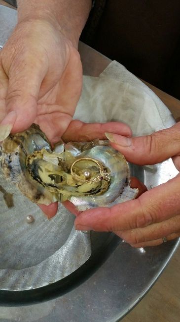 Newbie Introduction.