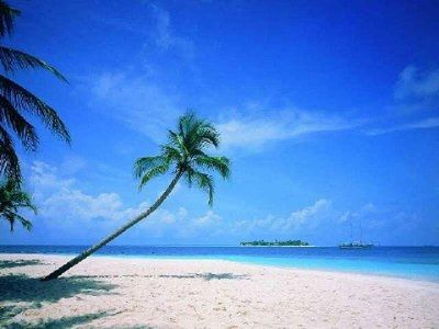 Vacation