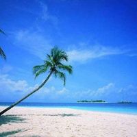 Vacation