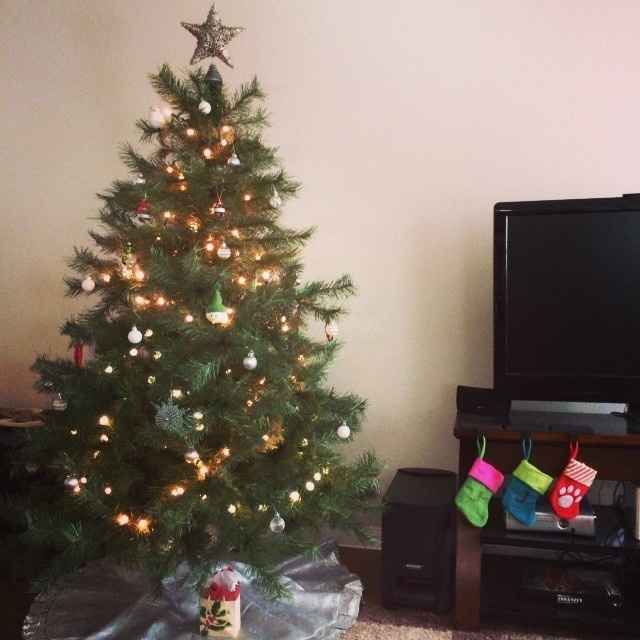 NWR - Alright, who's got their tree up?!