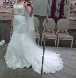 David's Bridal Dress