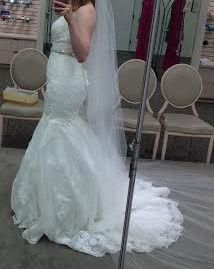 David's Bridal Dress