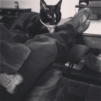 Pet names... Proper animal ones this time.,