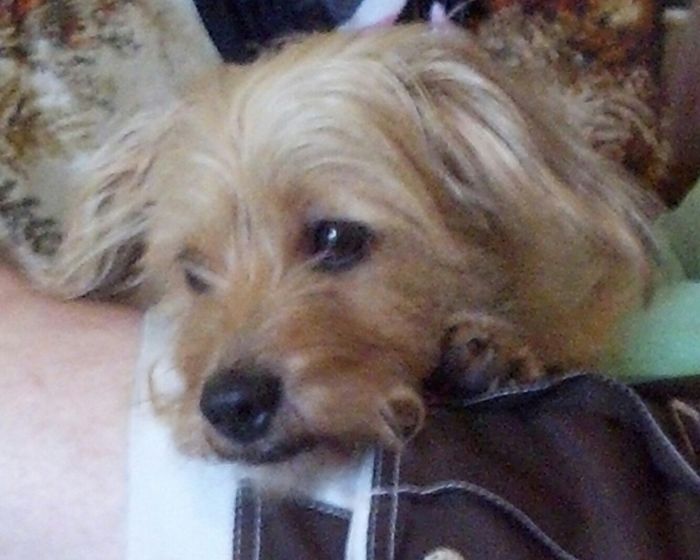 Show mee yourrr…..