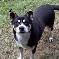 Show mee yourrr…..