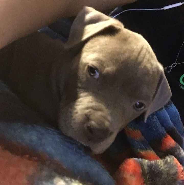 Early wedding present.