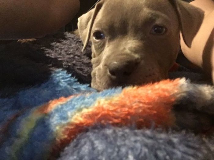 Early wedding present.