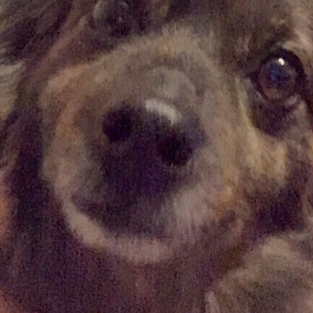 NWR- let me see your fur babies, awake and scared