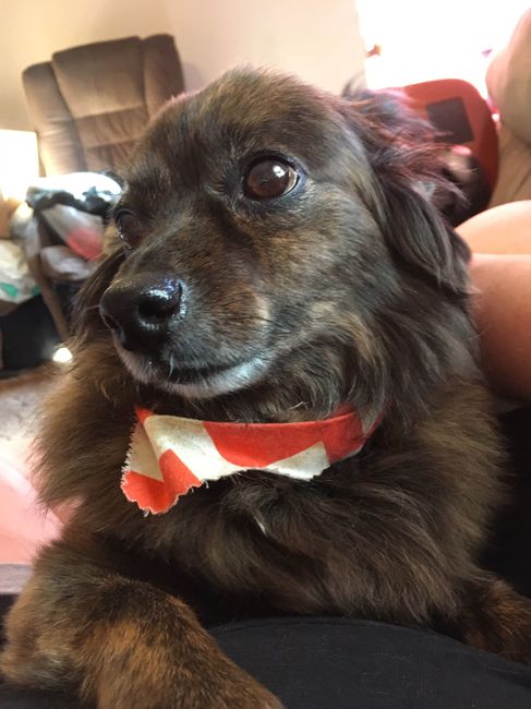 NWR: Furbaby!