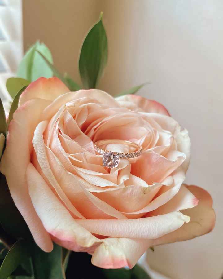 2023 Brides - Show us your ring! - 1