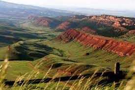 Fancy Etsy Invitations? 2