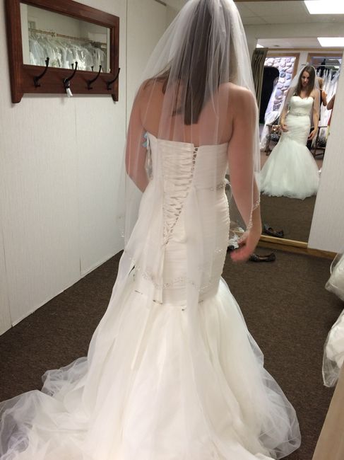 Wedding veil!