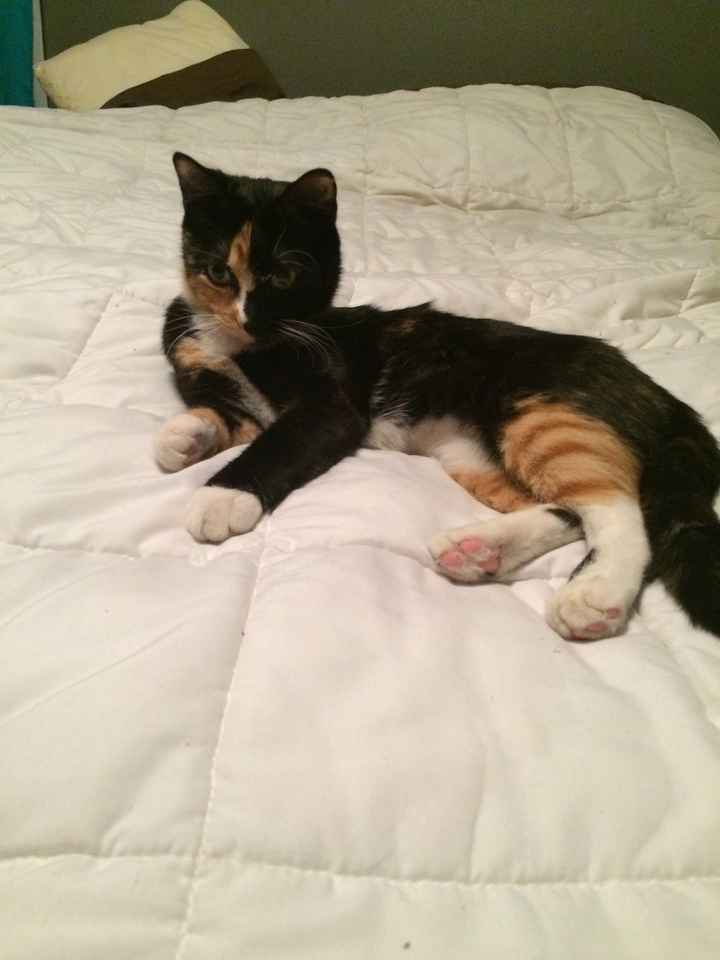 Fur baby friday!
